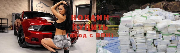хмурый Козловка