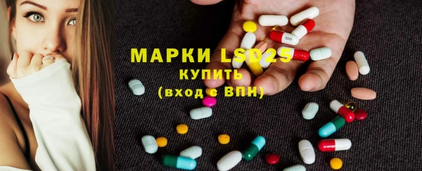 хмурый Козловка