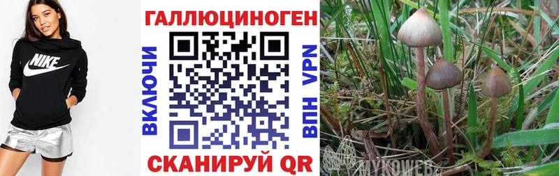 Купить  Нурлат  Псилоцибиновые грибы мухоморы 